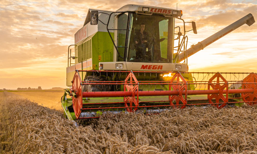 Landwirtschaftlicher Sektor